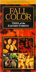 Fall Color: Trees of the Eastern Forests