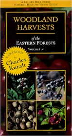 Woodland Harvests of the Eastern Forests
