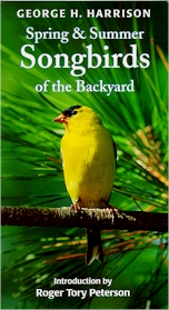 Spring & Summer Songbirds of the Backyard
