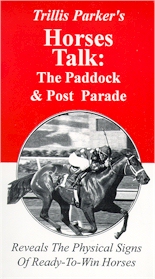 HORSES TALK: Paddock and Post Parade